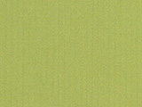 Sunbrella Spectrum Kiwi (48023-0000)